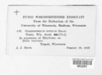 Gloeosporium niveum image